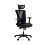 cadeira-presidente-tela